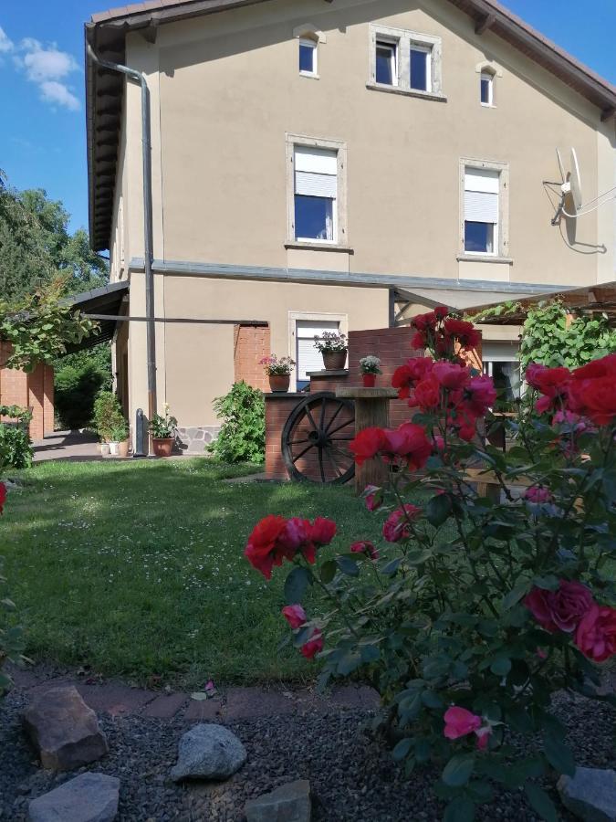 Monteurunterkunft Maria Freital Eksteriør bilde